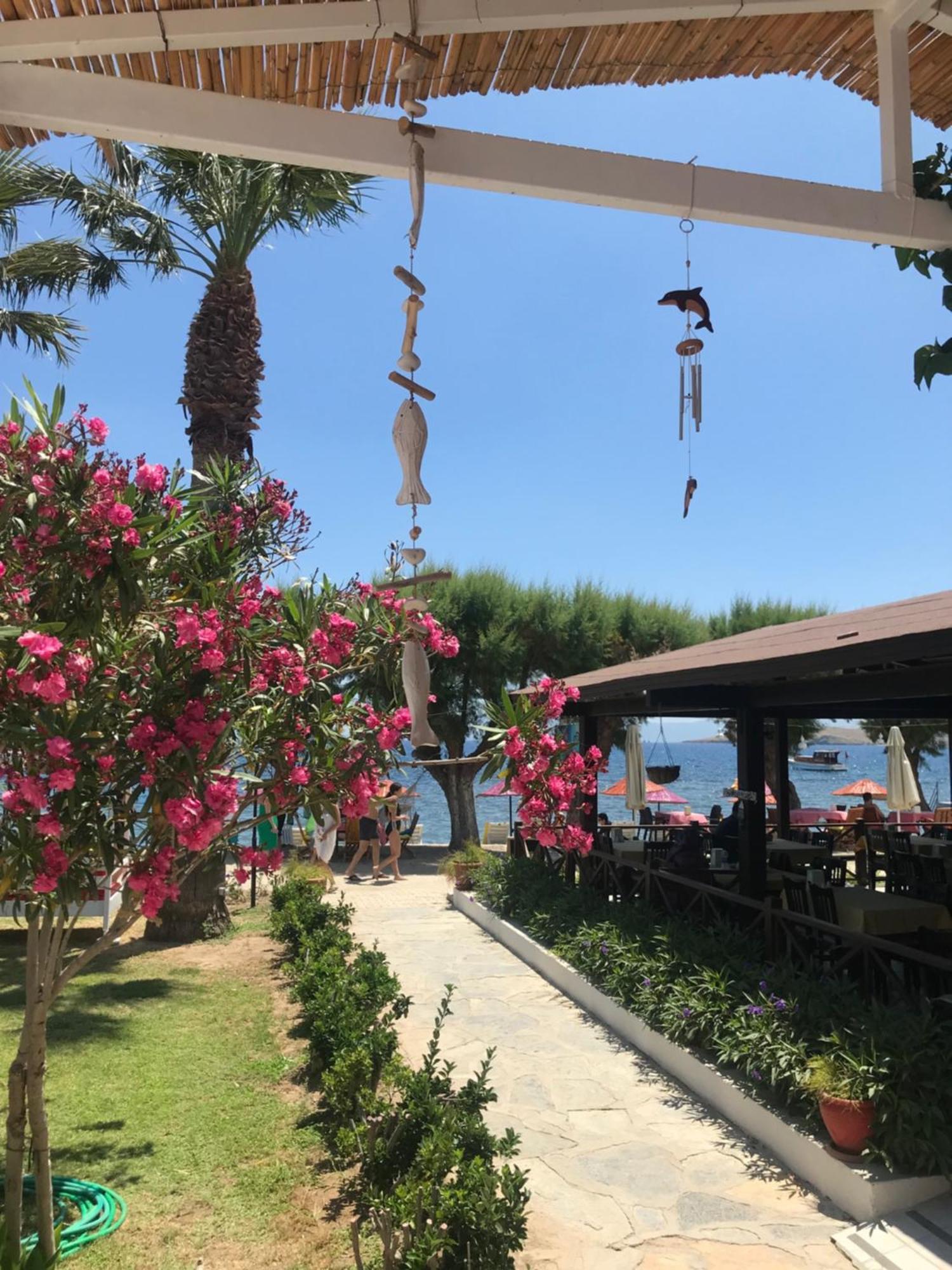Yilmaz Hotel Ortakent Exterior foto